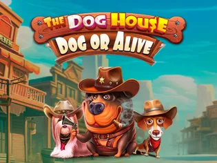 The Dog House - Dog or Alive game thumbnail